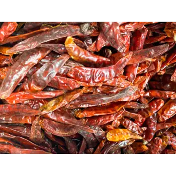 Organic Guntur Dry Red Chilli
